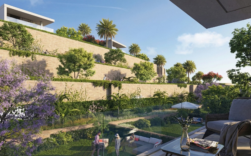 Compound Swan Lake 6 October