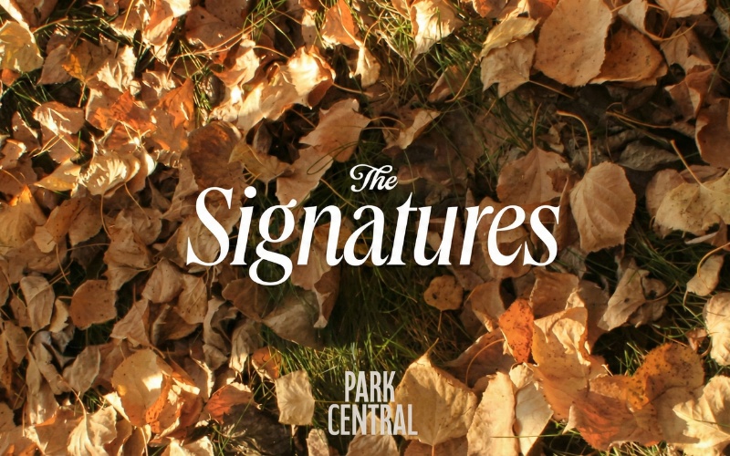 The Signatures