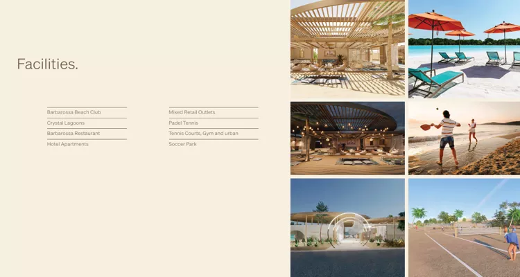 فرية المصيف رأس الحكمة