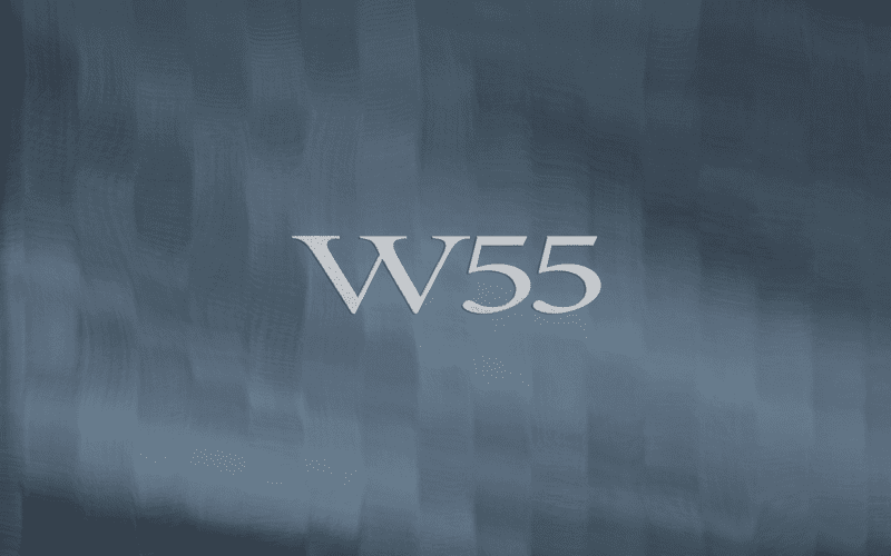 مول W55 القاهرة الجديدة W55 Waterway New Cairo واتر واي